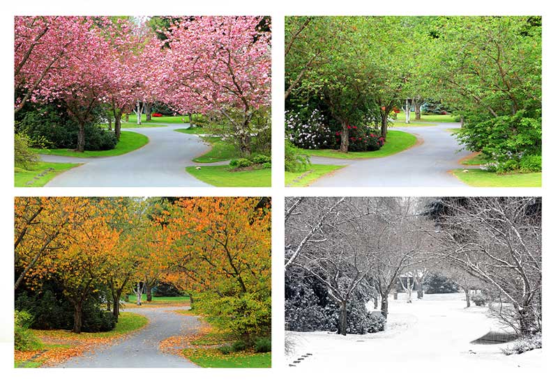 Seasons change – how to maintain your asphalt when they do
